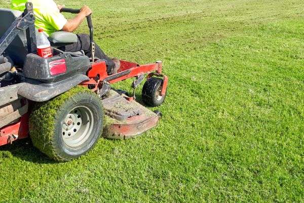 Lawn Care Jamaica